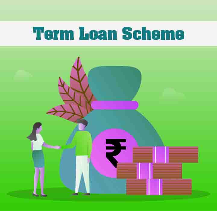 term loan scheme